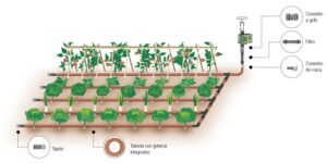 Esquema de un sistema de riego por goteo